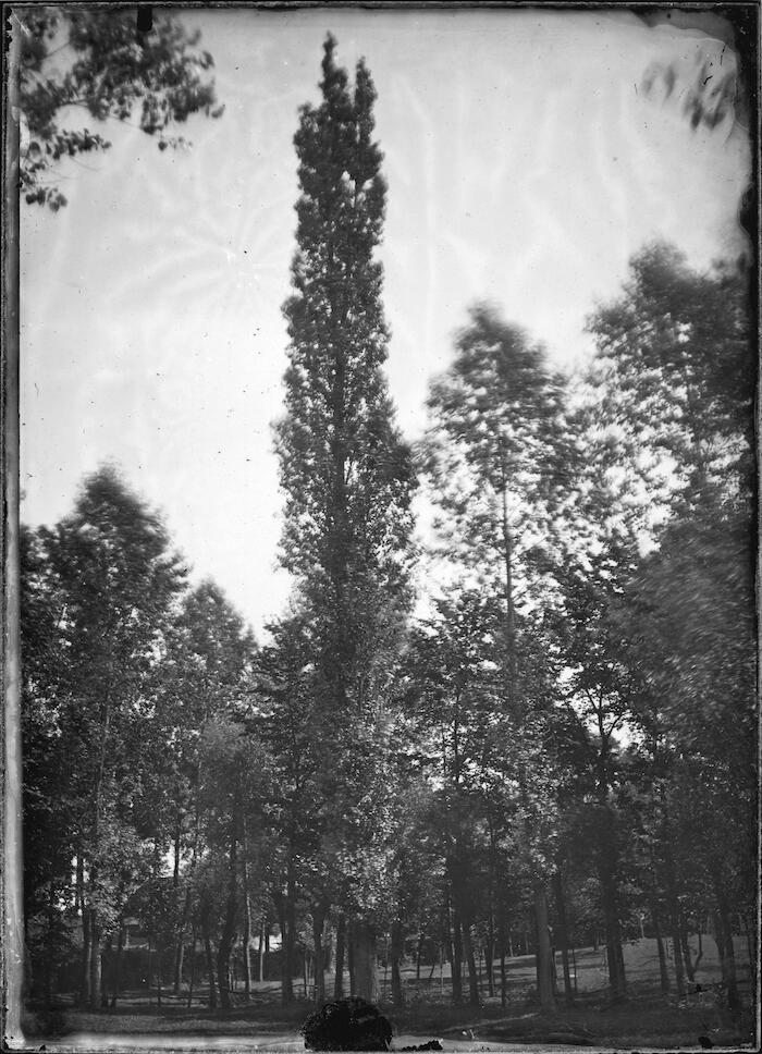 MPCNRSL_92_0142