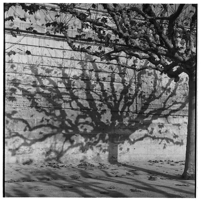 MPCNCHL_2005_0122