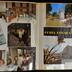 album n°468: "Vacances en voiture 6-16 septembre 1982; Au pays de la reine de Saba. 14 janvier 1983 [...]; L'Égypte du 9 au 18 septembre 1983;  [...]"