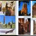 album n°468: "Vacances en voiture 6-16 septembre 1982; Au pays de la reine de Saba. 14 janvier 1983 [...]; L'Égypte du 9 au 18 septembre 1983;  [...]"