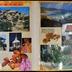 album n°469: "Antilles 29 novembre 1985; Turquie du 17 au 26 mai 86; La Cappadoce; Anatolie; Le Grand tour du Maroc du 16 au 27 avril 87; Algérie du 4 au 14 avril 1988; [...] Malte 9 mai -16 mai 1993; Caraïbes-Venezuela du 23 février au 7 mars 95 [...]"