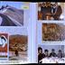 album n°468: "Vacances en voiture 6-16 septembre 1982; Au pays de la reine de Saba. 14 janvier 1983 [...]; L'Égypte du 9 au 18 septembre 1983;  [...]"