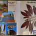album n°468: "Vacances en voiture 6-16 septembre 1982; Au pays de la reine de Saba. 14 janvier 1983 [...]; L'Égypte du 9 au 18 septembre 1983;  [...]"