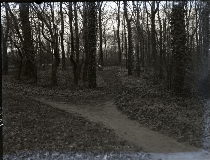 [VIDE]
