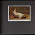 album n°491; "Nous avons fait un beau voyage. Paris 15-19 avril 1952"